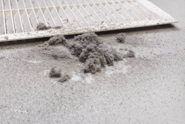 Best Home Air Vent Cleaning  in Stevensville, MD