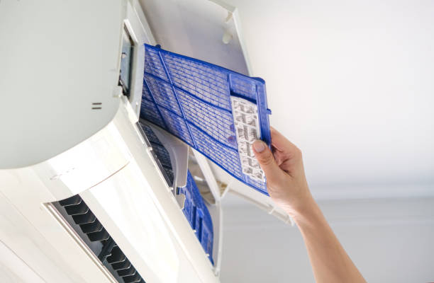 Best Air Duct Sanitizing Services  in Stevensville, MD